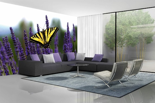 Vlies Fototapete - Schwalbenschwanz-Schmetterling auf Lavendel 375 x 250 cm